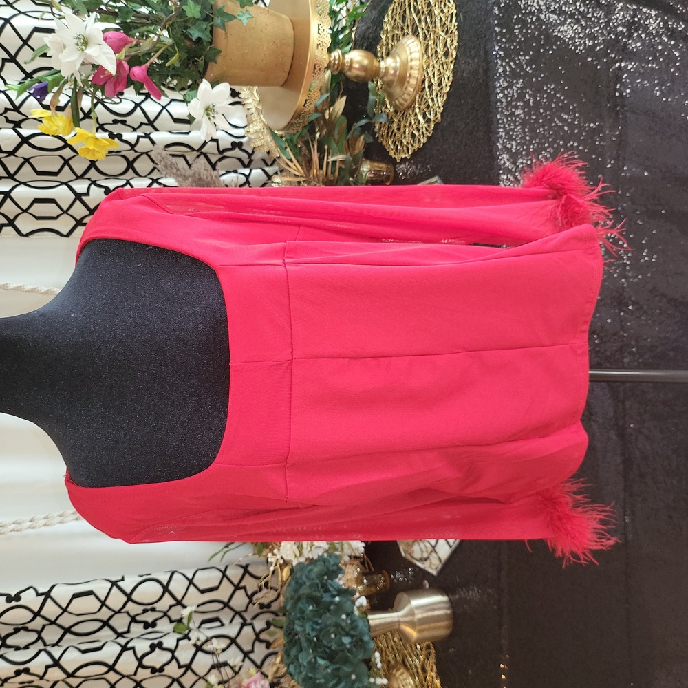 Ashley Stewart New Red Top With Tags Size 14/16